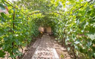Vânzare, casă, 4 camere, str.Academician Natalia Gheorghiu, Telecentru - Poză 40