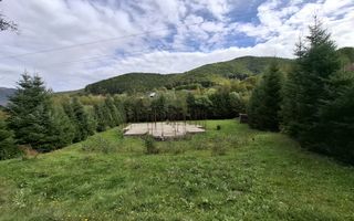 Teren Intravilan de Vânzare – 4000 mp – Râu Sadului - Poză 5