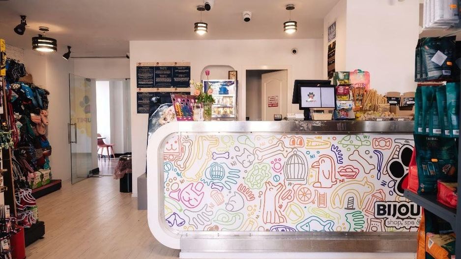 SPAŢIU VERSATIL DE VÂNZARE / ÎNCHIRIERE 211mp. Sect3. - Poză 7