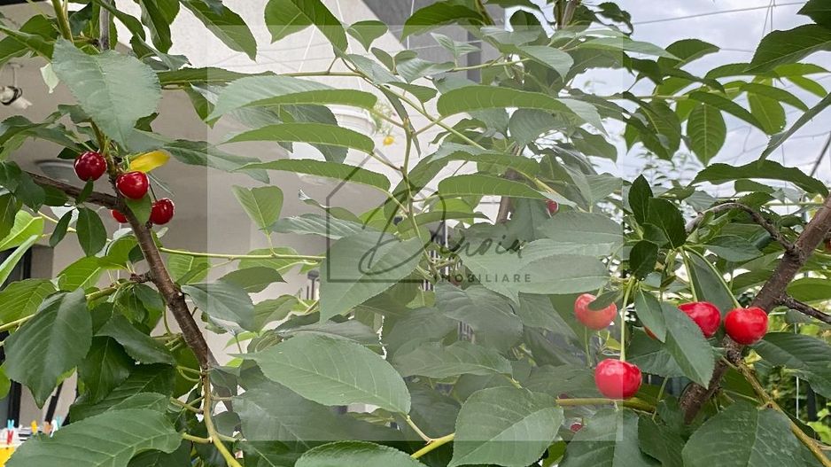 Vila de vanzare in Tunari I Gata de mutat I 4 camere I 5 parcari - Poză 49