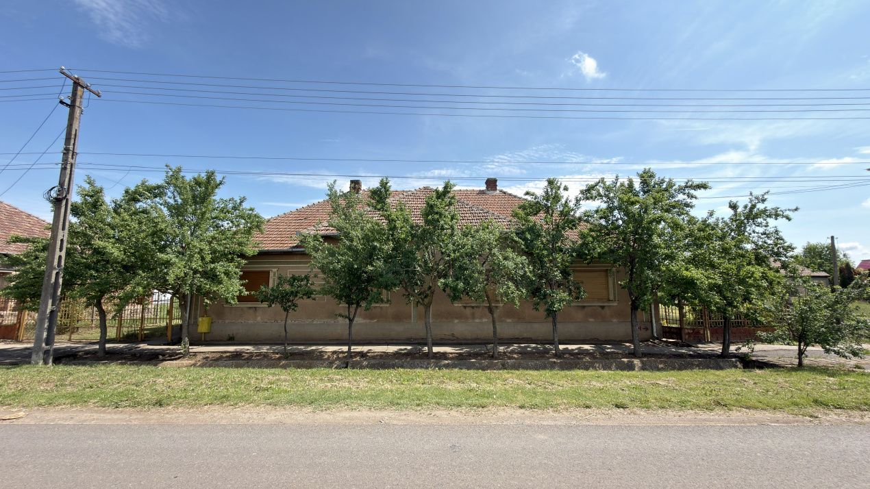Casă 4 camere, Teren 1955 mp Str. Vezendiului Nr. 366 - Loc. Petrești, Satu Mare - Poză 3