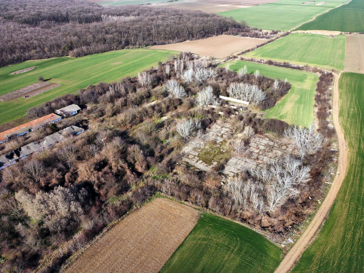 Ferma si livada de meri in judetul Ilfov - Poză 11