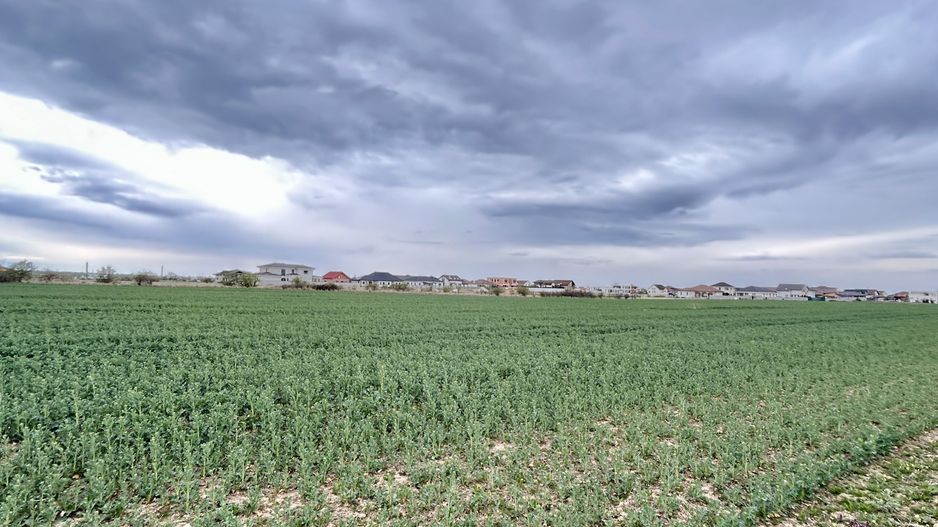 Teren premium 4000 mp – Cartier Grigorescu - Poză 2