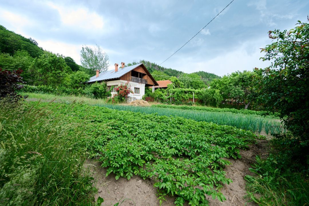 Casa cu teren generos - 4696 mp Apa Sarata - Campulung !! - Poză 1