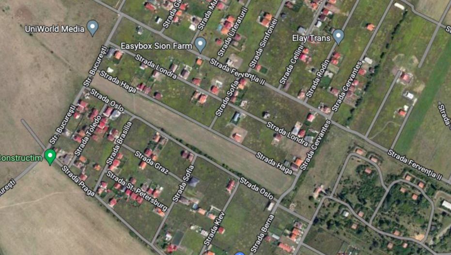 Teren Dumbravita str Bucuresti-581 mp - Poză 1