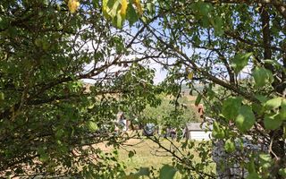 Teren de vanzare in Valcele - Poză 6