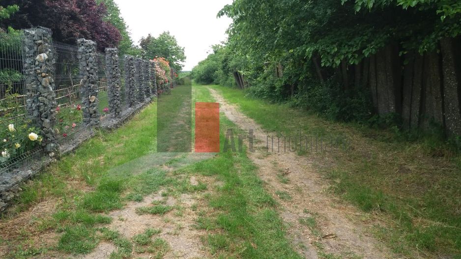 Teren Buftea cu iesire la lac - Poză 9