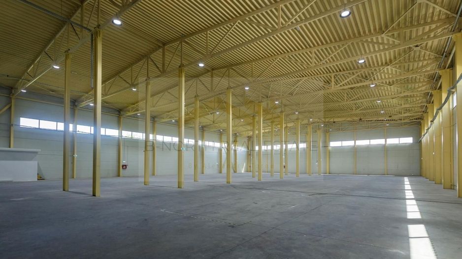 Hală industrială 1000 mp Otopeni | Rampe TIR | ISU | Acces DN1 & Centură - Poză 15