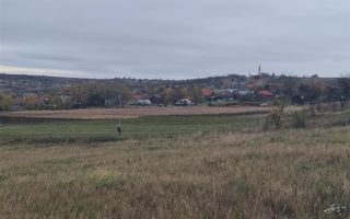 Teren Cetariu 9900 mp - Poză 3