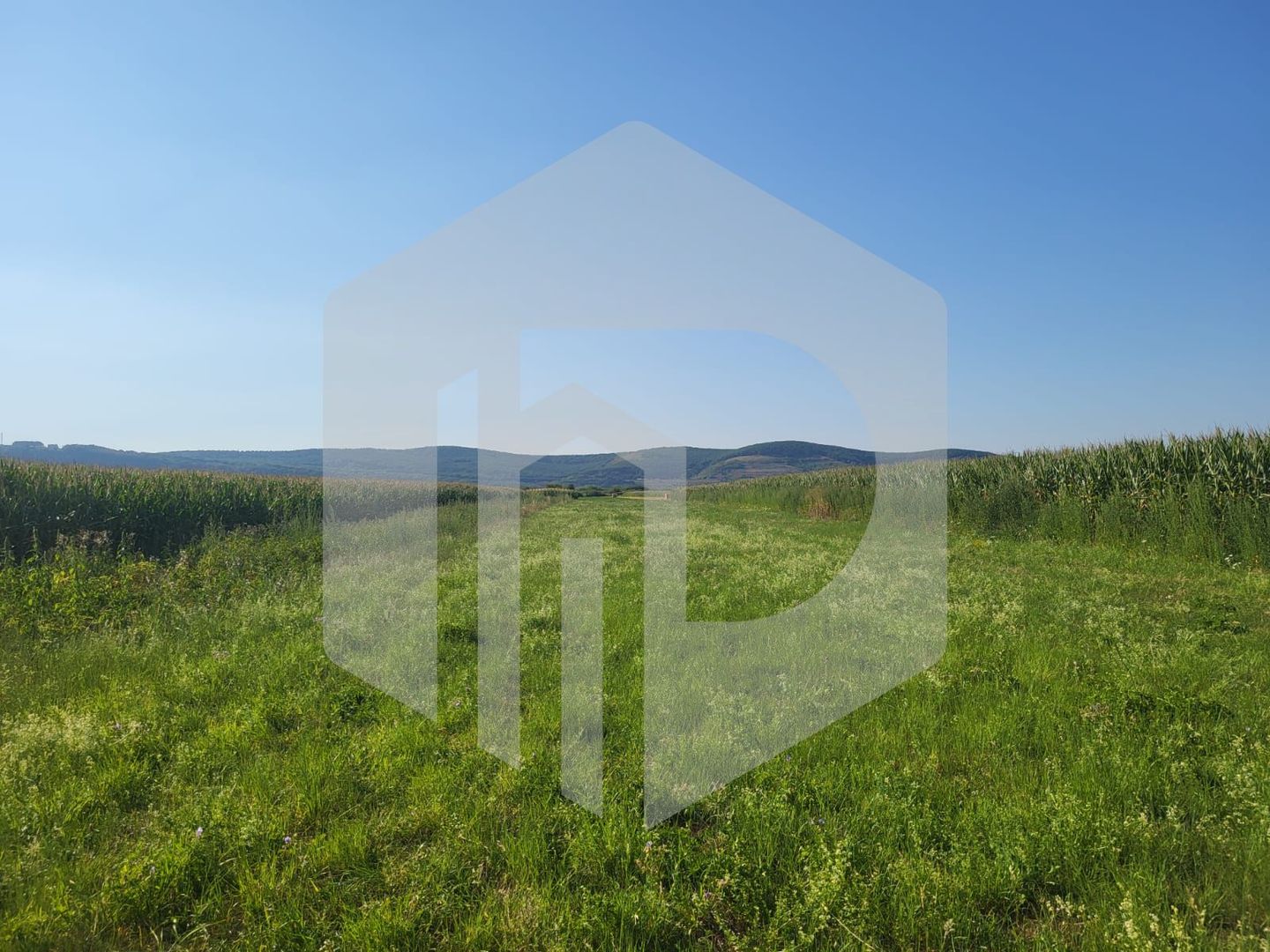 Teren in Orlat | Deschidere la Drum Judetean | 25Euro mp - Poză 2