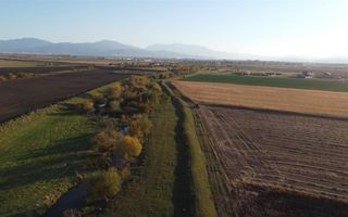 Halchiu Brasov, 80.000 mp teren extravilan - agricol - Poză 2