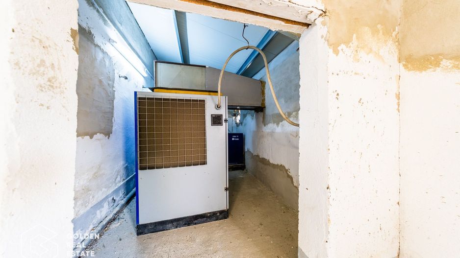 Hala industriala, Pecica, județul Arad - Poză 29