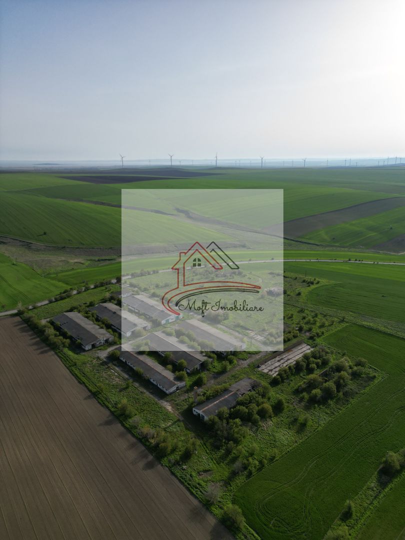 Oportunitate Investiție – Fermă 9,5 Ha cu 10.000 mp Construcții - Poză 1