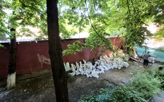 Apartament cu 2 camere 49,59 mp - cl. Grivitei - Gara de Nord - Poză 11
