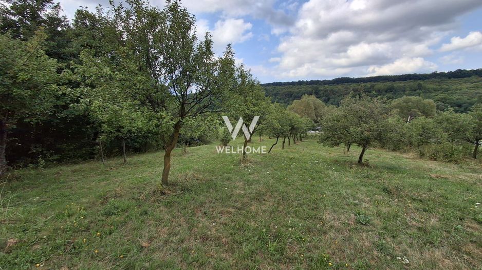 De vânzare teren extravilan în Sibiel, jud. Sibiu – 3223 mp - Poză 3