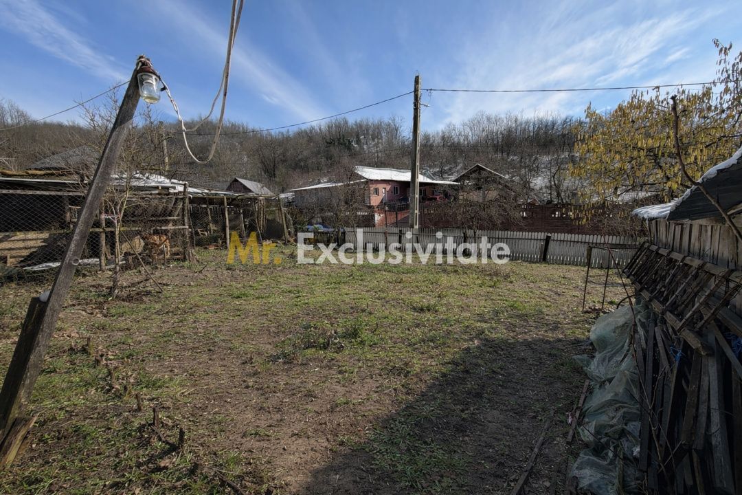 Casa Priboieni - sat Pitoi Arges - Poză 22
