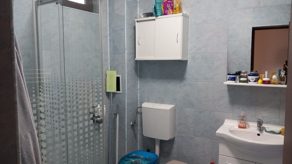 Ag BRASADAS vinde casa individuala 5 cam orasul PANTELIMON. - Poză 9