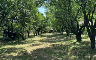Teren 2000 mp, cu utilitati, pozitionare deosebita, Tocile - Poză 5
