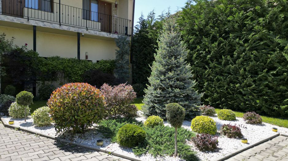 Afacere la cheie în Arad - Poză 6