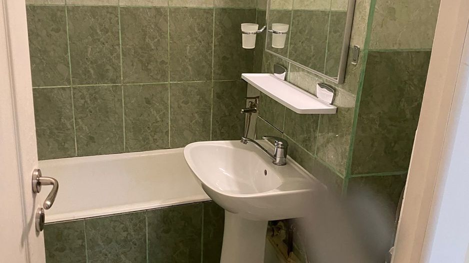GARSONIERA- LACUL TEI, PET-FRIENDLY, PARCARE INCLUSA, REABILITAT - Poză 11