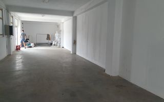 2 HALE de 357 mp si 474 mp  si teren intravilan de 5423 mp  Isalnita - Poză 5