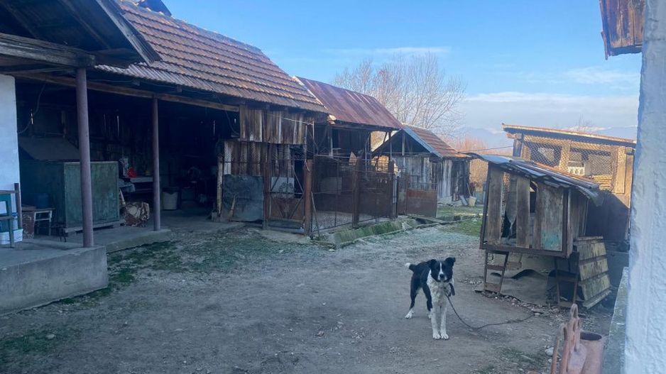 Proprietate cu potențial turistic și agricol | 7.661 mp|Șomanești-GORJ - Poză 7