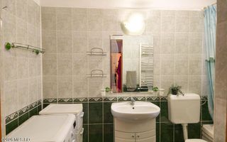 Lunei - Ion Neculce, 2 Apartamente. Mansarda 157 mp. Anexe, Lot 475 mp - Poză 12