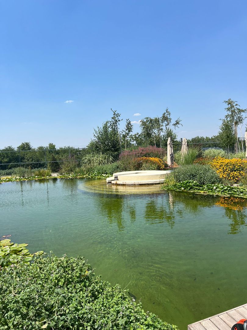 Inchiriere studio Pipera | Complex cu piscina, sala de sport si sauna - Poză 5