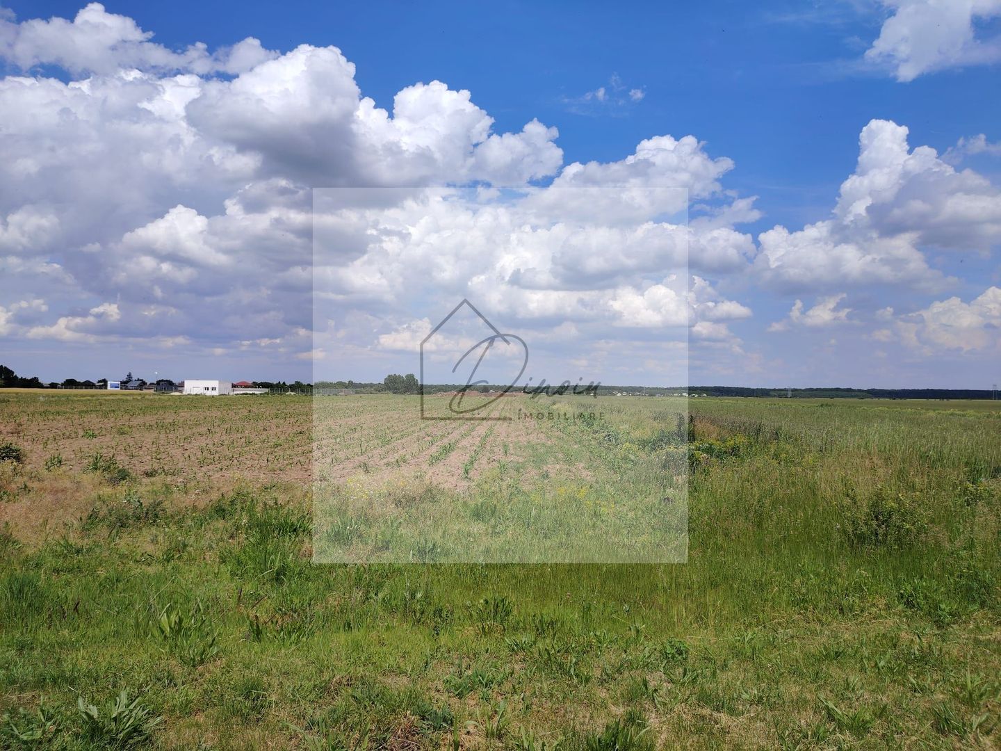 Teren intravilan Ciocanesti Cretu - 9282 mp divizat in 15 loturi - Poză 1