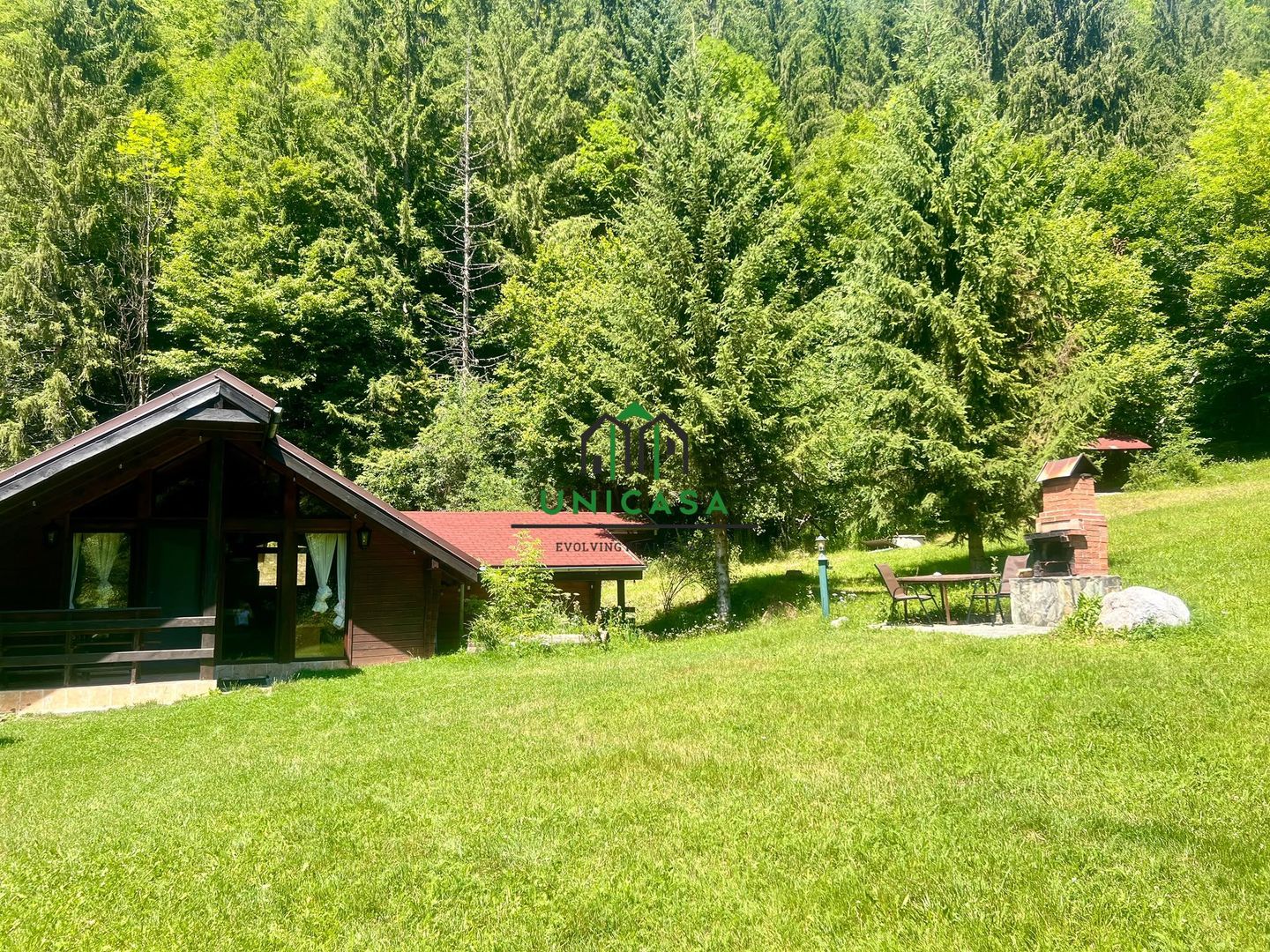 Proprietate deosebita de vanzare – Voinesița, Comuna Voineasa - Poză 8
