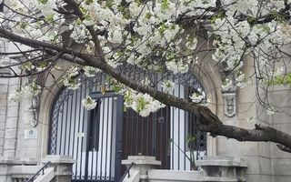 Apartament elegant in vila din perioada interbelica - Poză 5