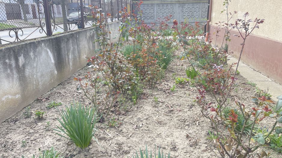 Casa de vanzare cu teren 572 mp si front generos 21 ml - Poză 7