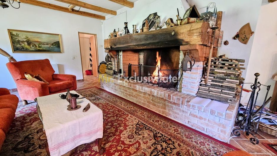 La Dolce Vita-casa vintage/moderna-Somesul Rece - Poză 4