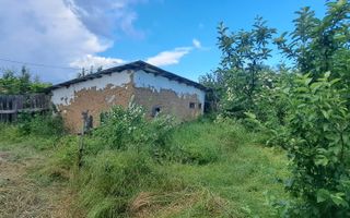 VANZARE CASA | TEREN 2500 MP | LIVADA SI VIE | SAT BREBINA – SCRIOASTEA - Poză 2