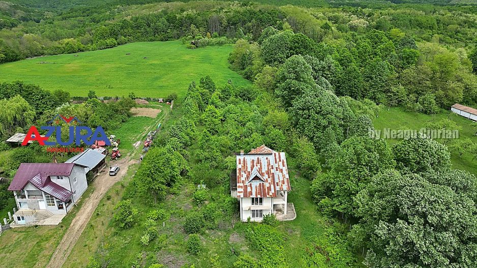 AZURA Imobiliare - Budeasa, Teren 5.069 mp, Casa BONUS - Poză 4