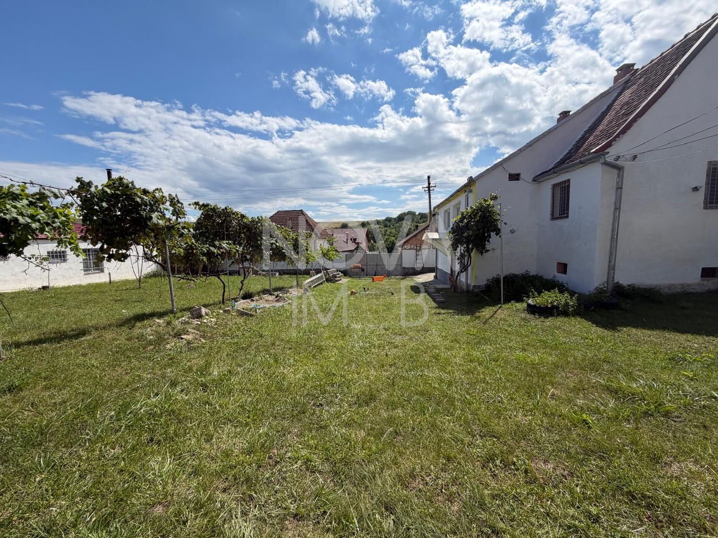 Casa individuala cu teren generos – 8.356 mp – Tichindeal, jud. Sibiu - Poză 5