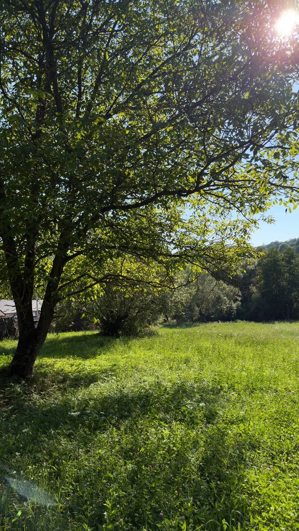 Teren Parau | Valea Danului, Curtea de Arges | Vidraru | - Poză 9