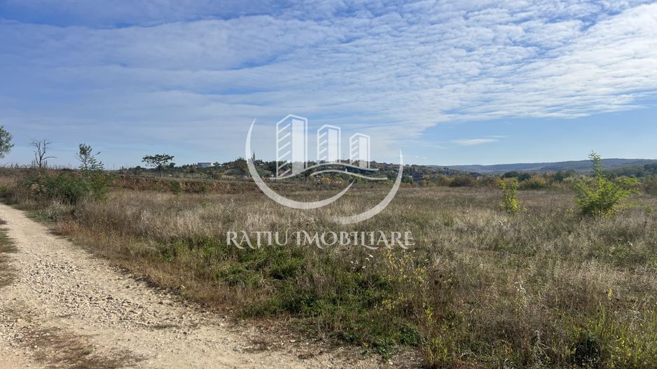 Teren intravilan 2500 MP | Paleu | Bihor - Poză 4