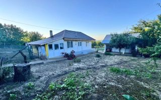 Casă de vânzare în Scoposeni, com. Gorban – 2700 mp teren, 3 construcții, livadă de nuci - Poză 1