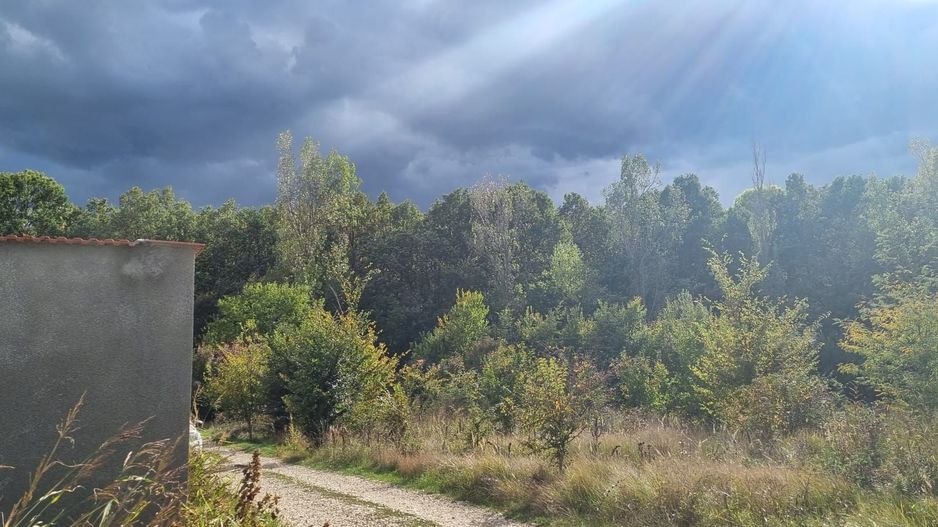 Teren Lotizabil - Poză 11
