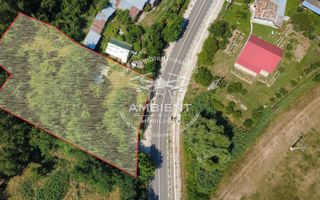 TEREN 1.200 mp în BRODOC - NATURĂ, INTIMITATE ȘI ACCES DIRECT LA ASFALT; - Poză 4