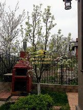 Vila de inchiriat zona Padurea Baneasa - Iancu Nicolae - Poză 10