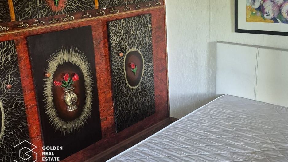 Casa de vacanta in comuna Sistarovat - Poză 7