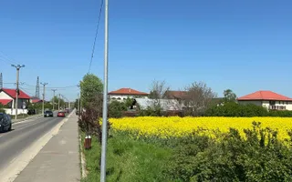 Teren intravilan 26.300 mp Saftica Balotesti - PUZ în lucru - Poză 19