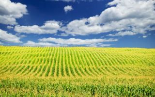 Teren 1.500 mp, intravilan, deschidere 15 ml, Ampoita, Alba Iulia - Poză 1