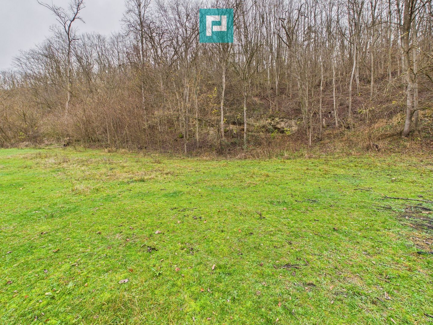 Casă cu teren de 24.679,73 mp, în Hălmagiu, Arad - Poză 24