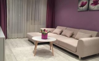 Apartament 2 camere de inchiriat, Iasi - Poză 7