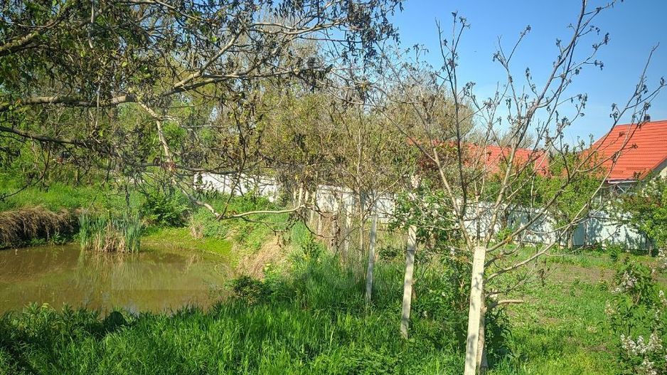 Vânzare, casă, com. Boșcana, r-nul Criuleni - Poză 13