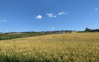 TEREN INTRAVILAN – SF. ILIE| SUCEAVA | 3.500 €/ar - Poză 1