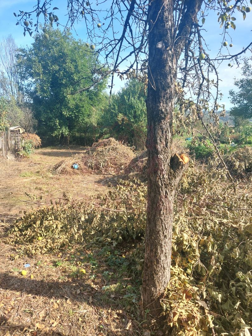 CASĂ DE VÂNZARE 2 CAMERE\ ZĂVOI\ JUD. CARAȘ-SEVERIN - Poză 7